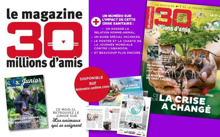 30 MILLIONS D’AMIS a organisé le jeu concours N°6632 – 30 MILLIONS DAMIS magazine n°262