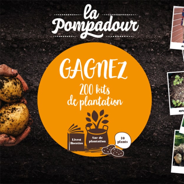 FRANCE PLANTS a organisé le jeu concours N°17614 – FRANCE PLANTS plants de pommes de terre