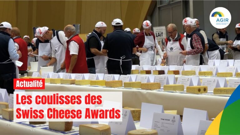 MASTER SWISS CHEESE a organisé le jeu concours N°24052 – MASTER SWISS CHEESE