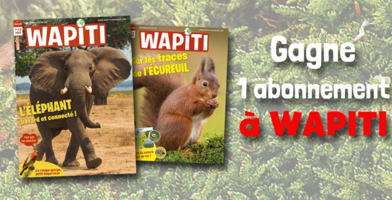 WAPITI a organisé le jeu concours N°11097 – WAPITI magazine n°270